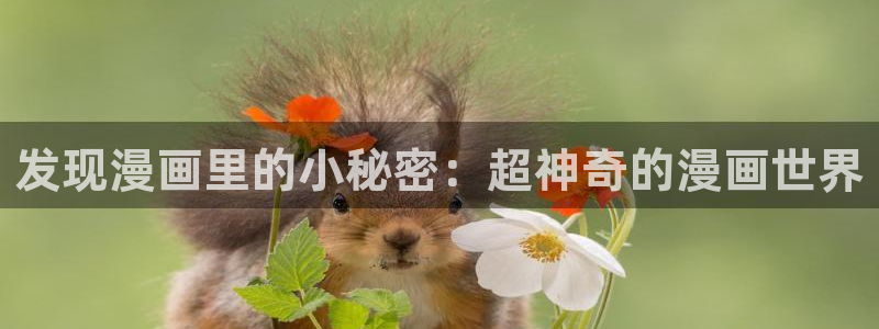 爱爱漫画图